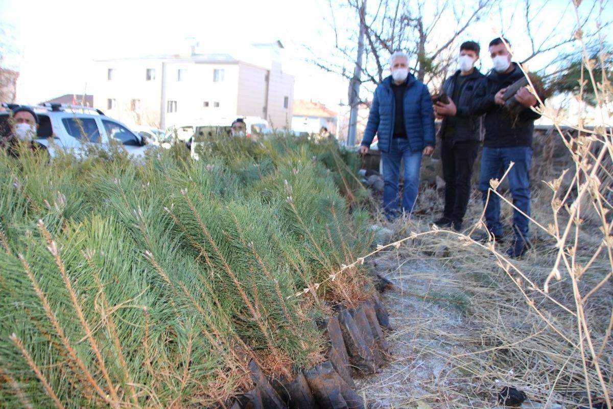 Varto&rsquo;da fidan dağıtımı