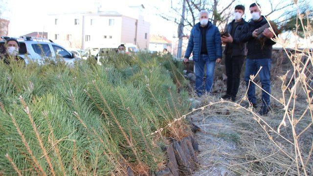 Varto’da fidan dağıtımı