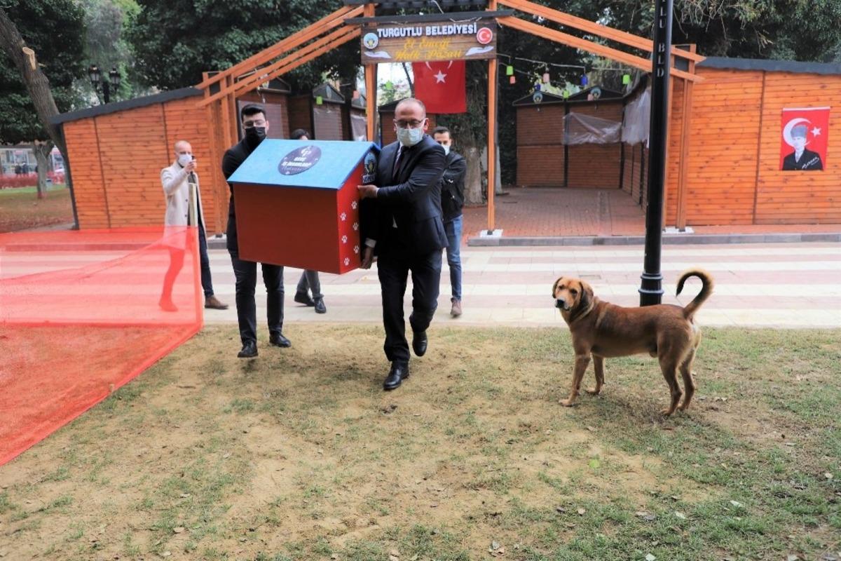 Sokak hayvanları yeni yuvalarına kavuştu