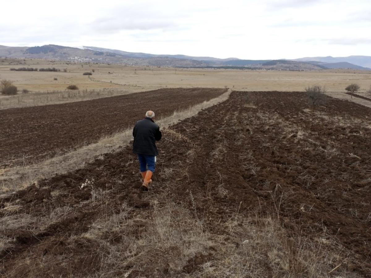 Ordu&rsquo;da siyez rekoru