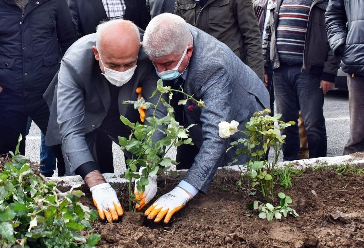 G&uuml;ll&uuml;bah&ccedil;e Mahallesi yıllar sonra adını aldığı g&uuml;llerine kavuşuyor