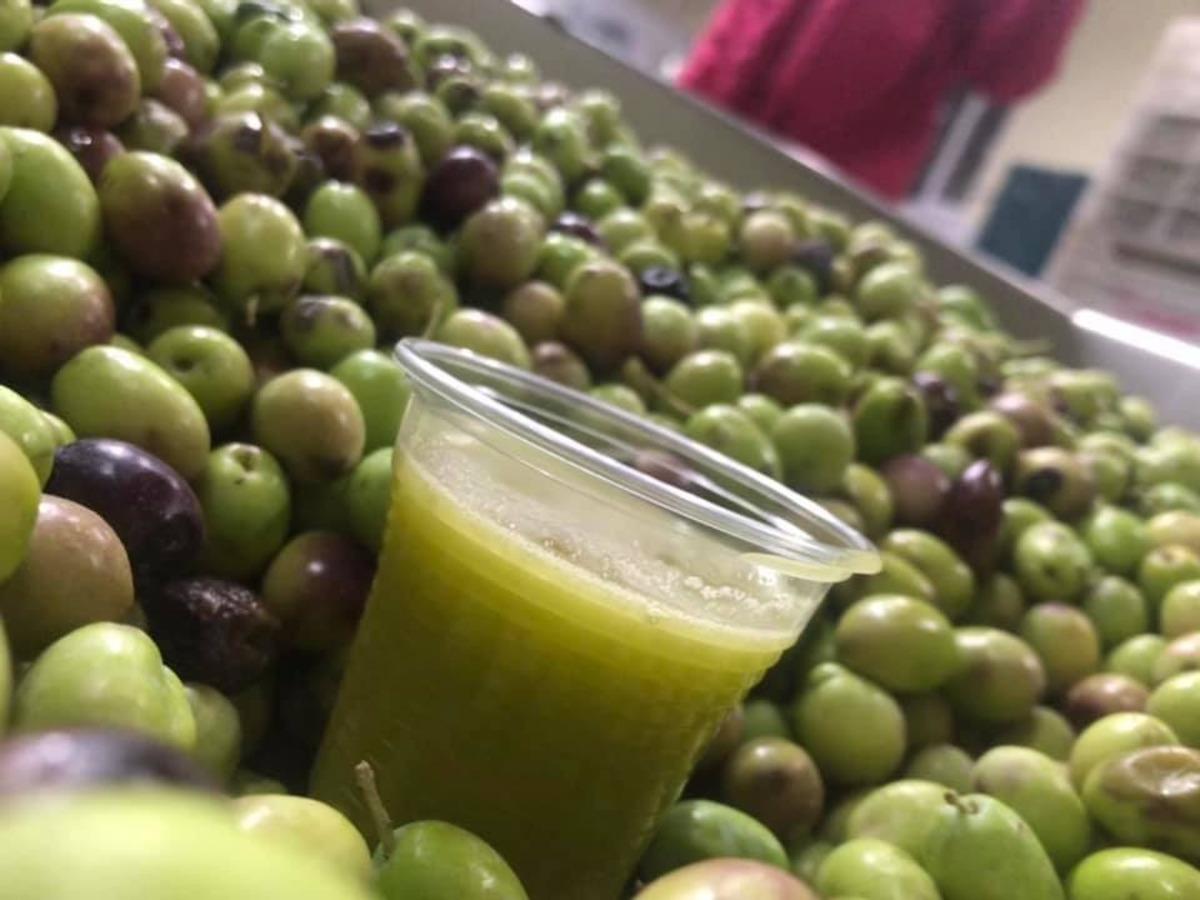 BA&Uuml;N&rsquo;den tarımsal ve hayvansal &uuml;retim atağı