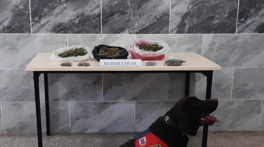 Aydın’da 250 gram kubar esrar ele geçirildi