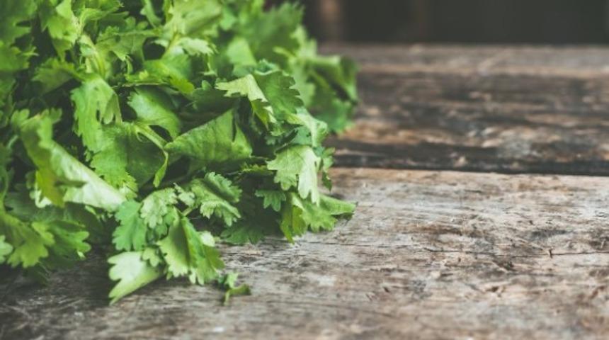 Faydaları saymakla bitmiyor: Aşotu nedir?