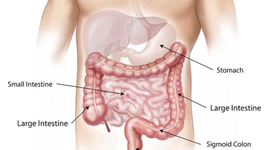 Gastrit nedir? Gastrit belirtileri nelerdir?
