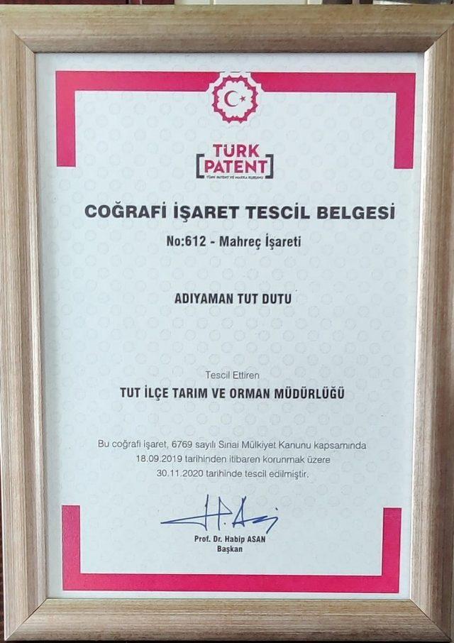 Tut’un dut meyvesi coğrafi işaret aldı