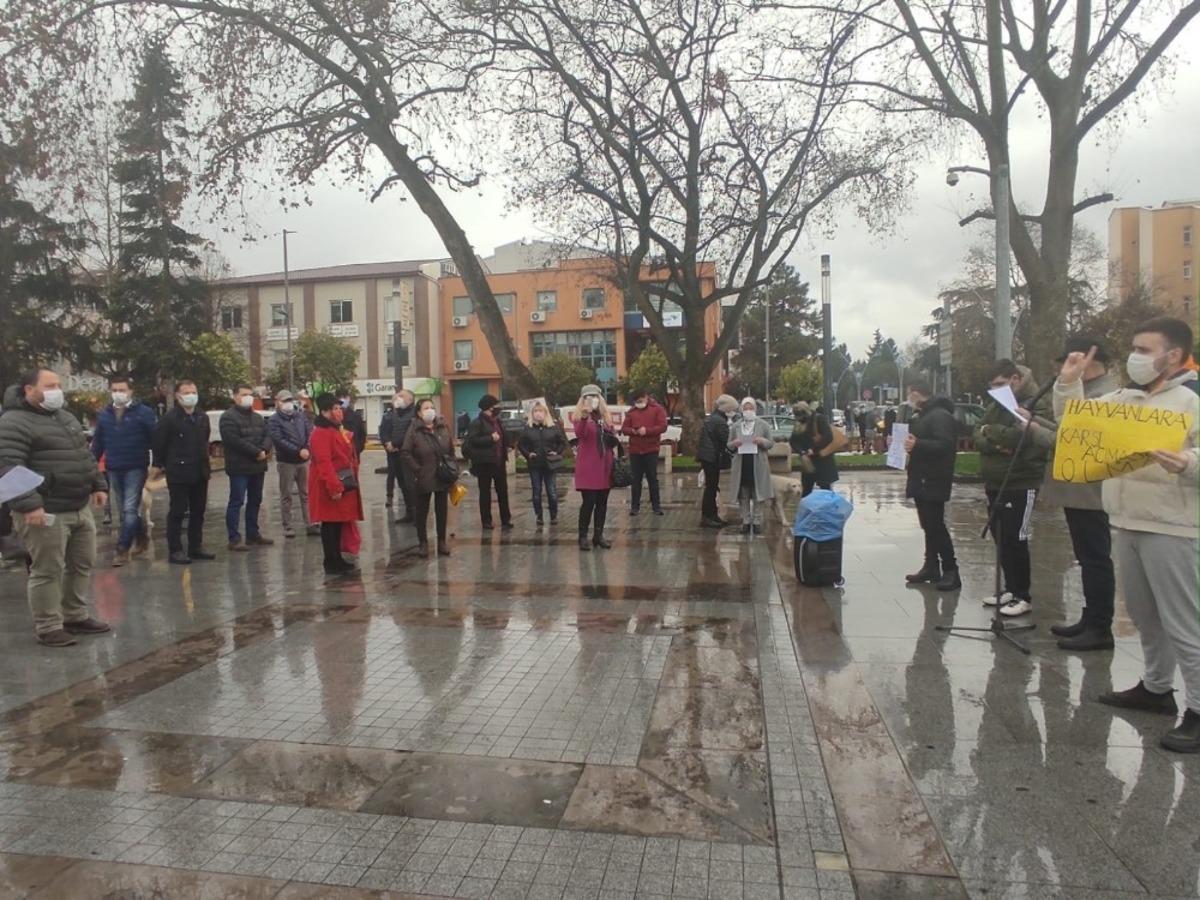 Sokak hayvanlarına eziyete tepki g&ouml;sterdiler