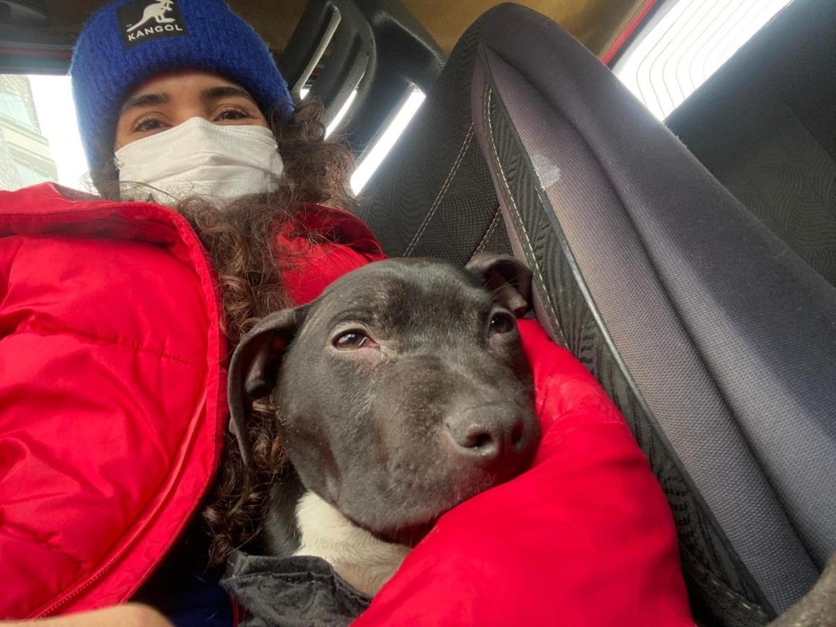 Sokakta bulduğu hasta k&ouml;peği &ouml;l&uuml;mden kurtardı