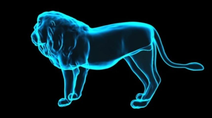 Adımları ile evde hologram nasıl yapılır? Hologram için hangi ışık gerekir? 