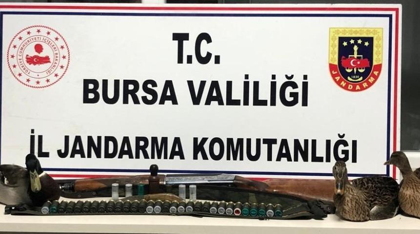 Ka&ccedil;ak avcılar, jandarma yakalandı
