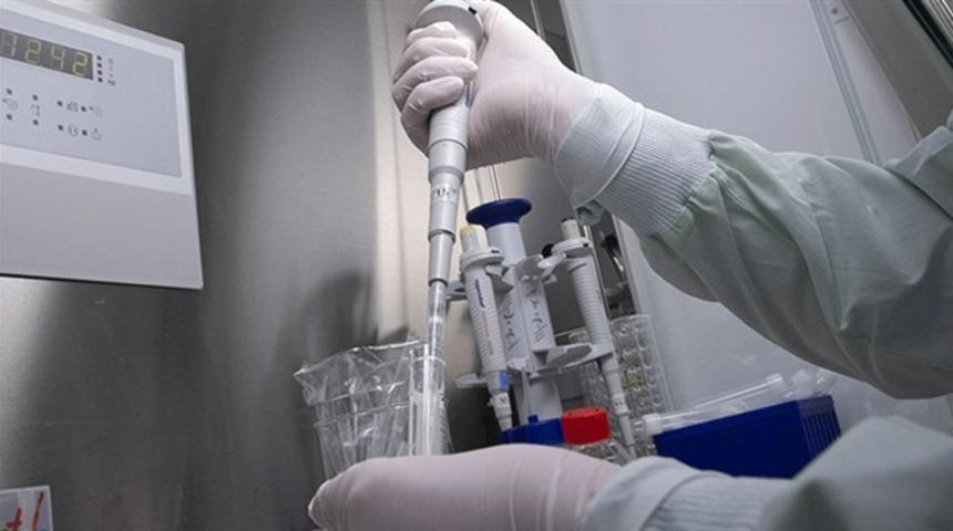 DS&Ouml;'den mutasyona uğrayan koronavir&uuml;sle ilgili &ouml;nemli a&ccedil;ıklama