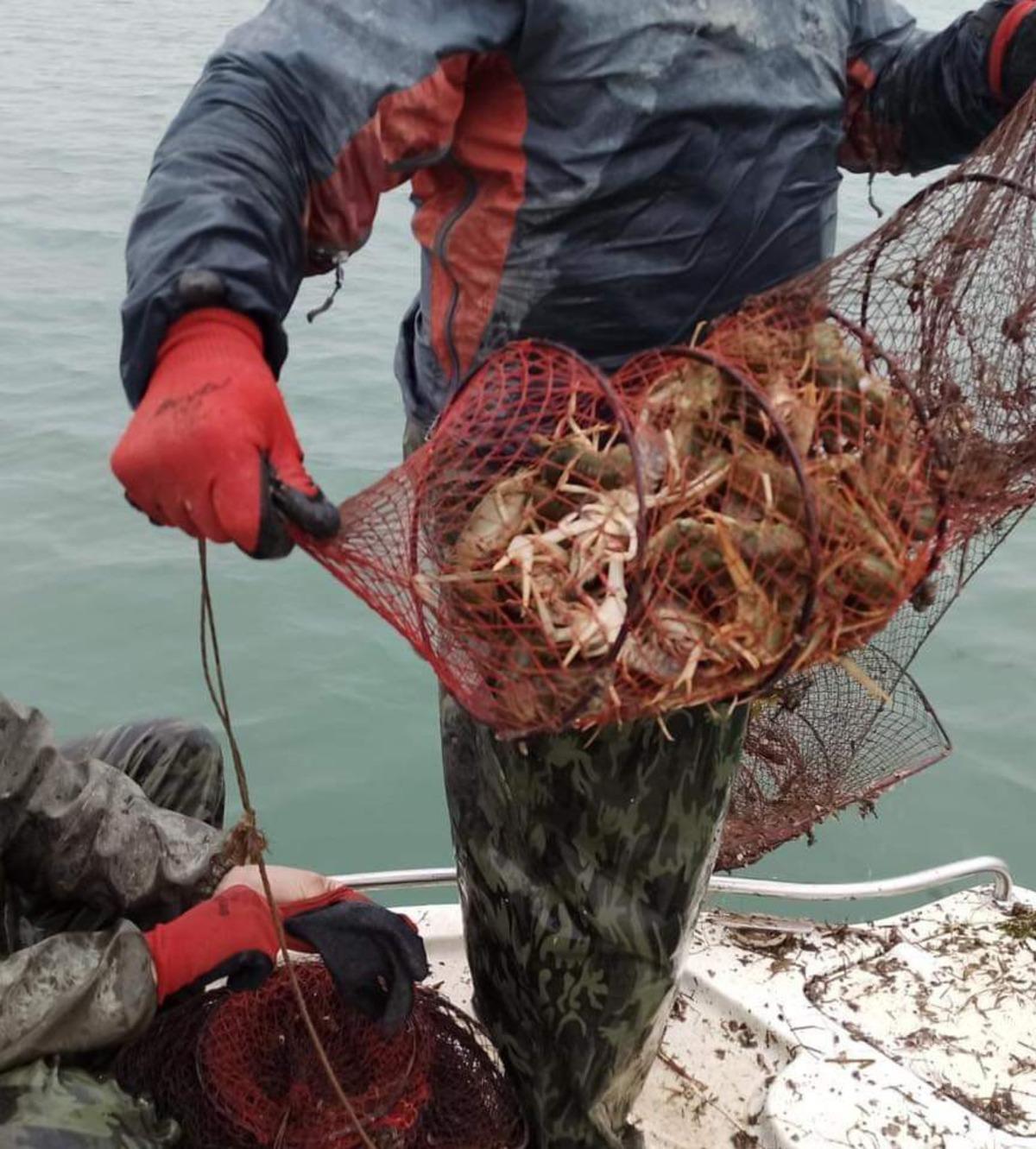 Eğirdir G&ouml;l&uuml;&rsquo;nde 730 adet kerevit pinterine el konuldu