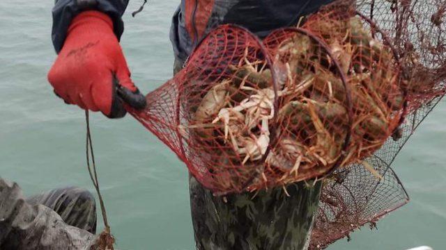 Eğirdir Gölü’nde 730 adet kerevit pinterine el konuldu