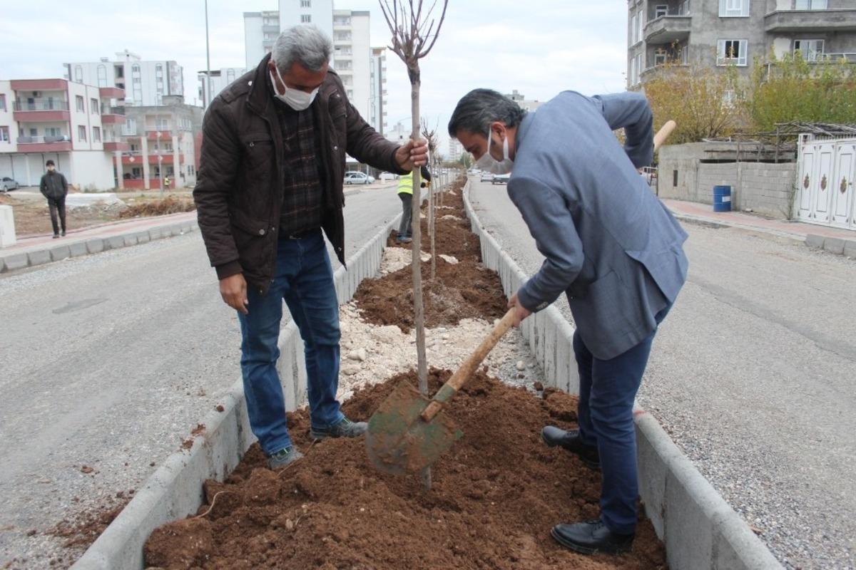 Kahta&rsquo;da yeşillendirme &ccedil;alışmaları devam ediyor