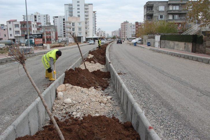 Kahta’da yeşillendirme çalışmaları devam ediyor G2