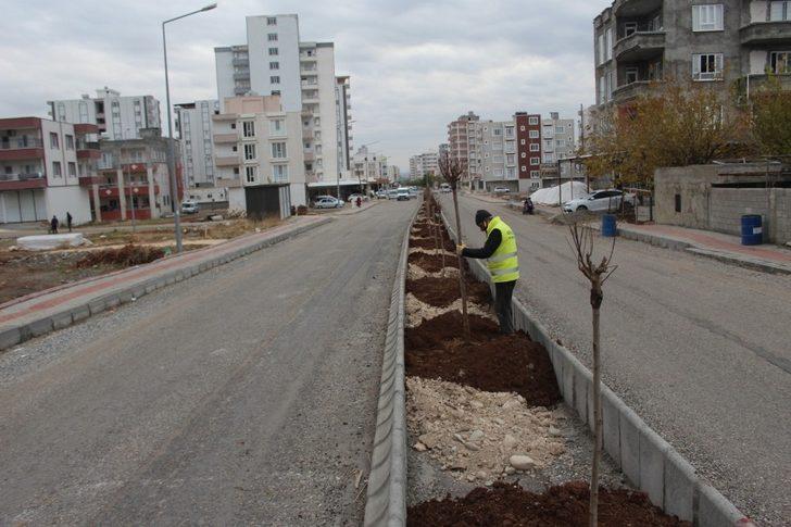 Kahta’da yeşillendirme çalışmaları devam ediyor G3