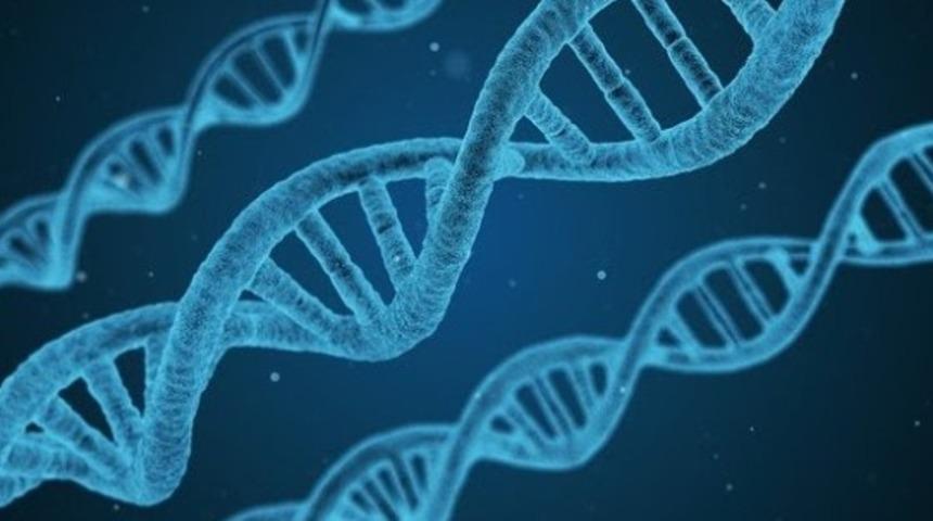 Treacher collins sendromu (TCS) nedir?  Treacher collins sendromu belirtileri nelerdir? 