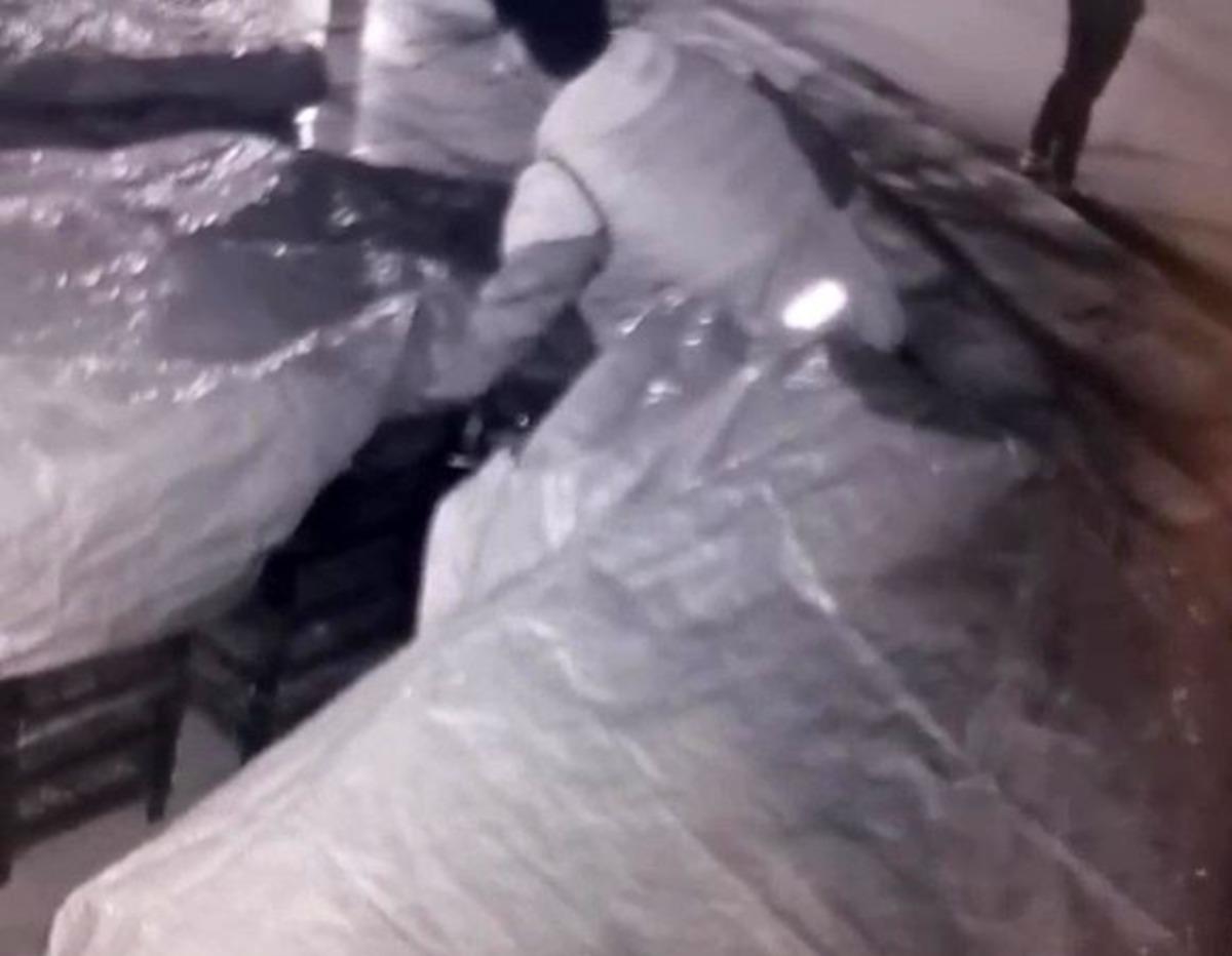 K&uuml;&ccedil;&uuml;k olaylara alışan manav, &ccedil;alınan meyveler pahalı olunca hakkını helal etmedi