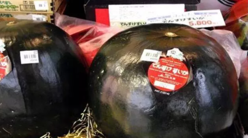 Tadına asla bakamayacağız! 6 bin dolara karpuz, 504 dolara bal