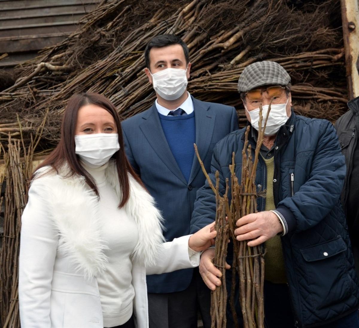 Bilecik&rsquo;te 110 bin ceviz fidanı toprakla buluşacak