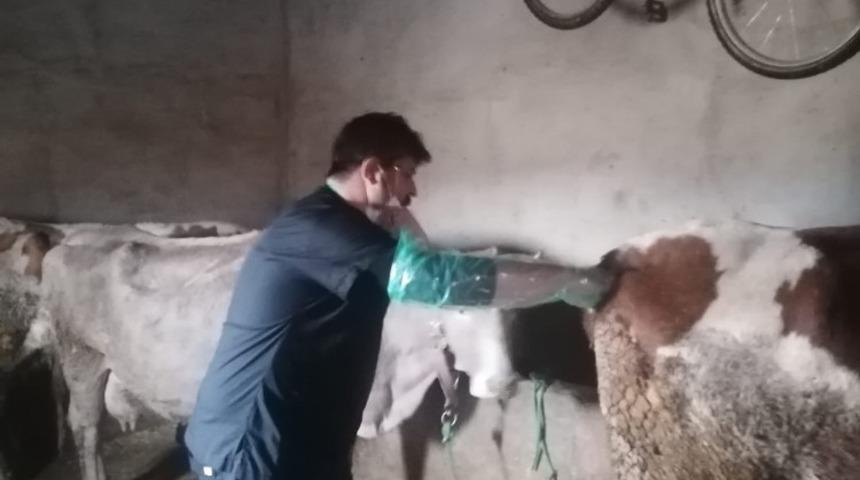 Van&rsquo;da suni tohumlama hizmeti