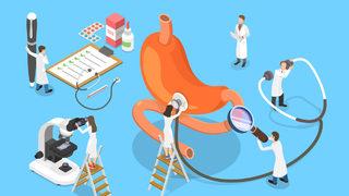 Gastroenteroloji nedir? Hangi hastalıklar gastroenteroloji bölümünün konusudur?