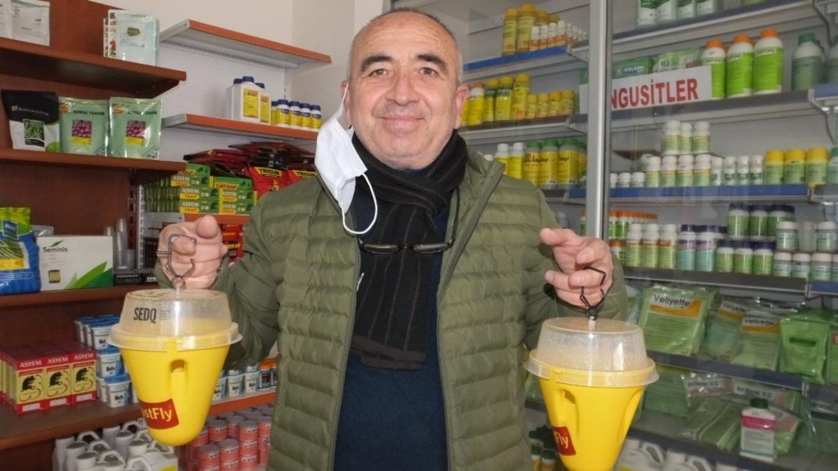 Burhaniye&rsquo;de zeytin sineğine karşı organik tuzaklar kullanılacak