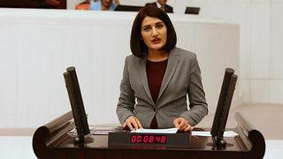Semra Güzel hakkında soruşturma başlatıldı