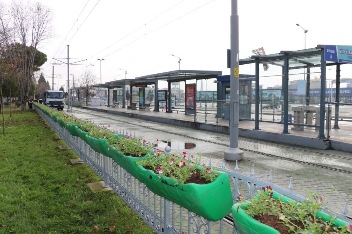 Hercai menekşeler tramvay duraklarına renk getirdi