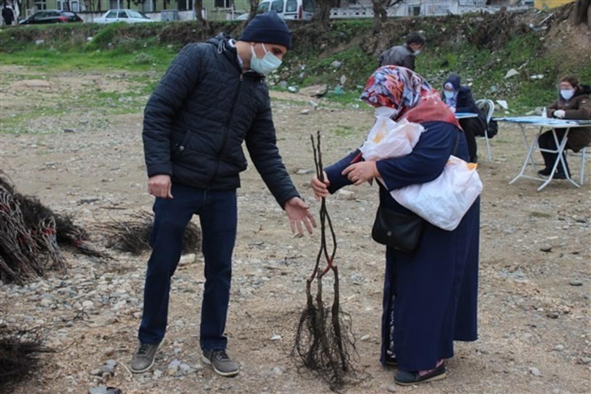 Osmaneli&rsquo;de &ccedil;ift&ccedil;ilere ceviz fidanı dağıtımı yapıldı