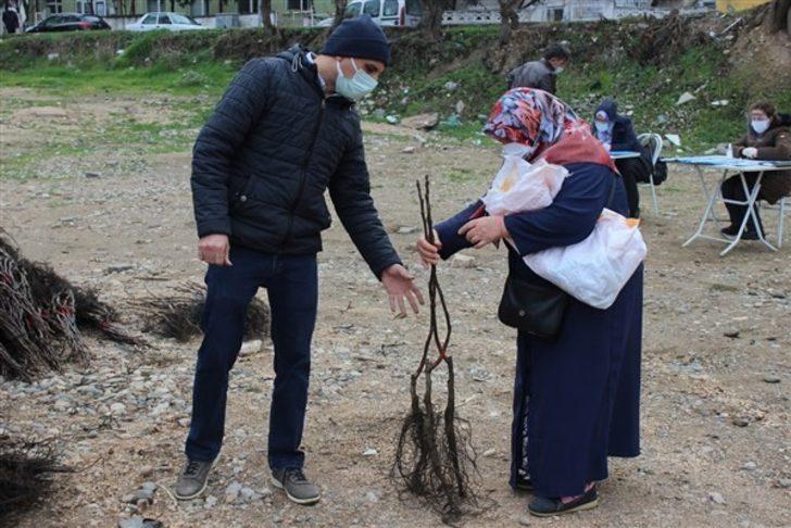 Osmaneli’de çiftçilere ceviz fidanı dağıtımı yapıldı G1
