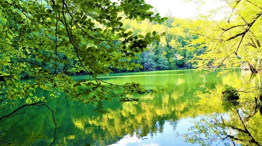 Yedigöller nerede, hangi ilde? Gezilecek yerler nele