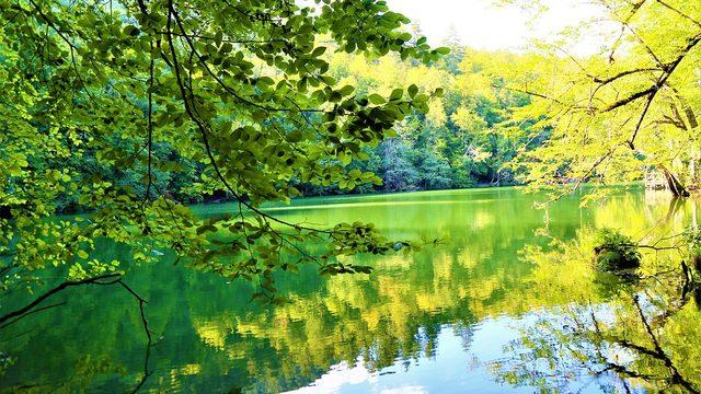 Yedigöller nerede, hangi ilde? Gezilecek yerler nele