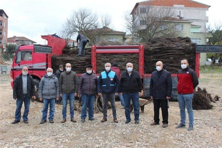 Osmaneli’de çiftçilere ceviz fidanı dağıtımı yapıldı G5