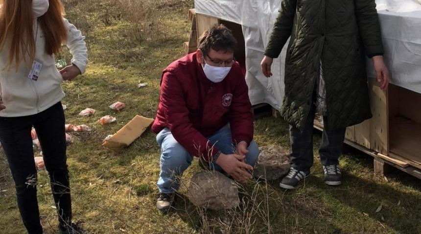 İl Tarım ve Orman Müdürlüğü sokak hayvanlarını unutmadı