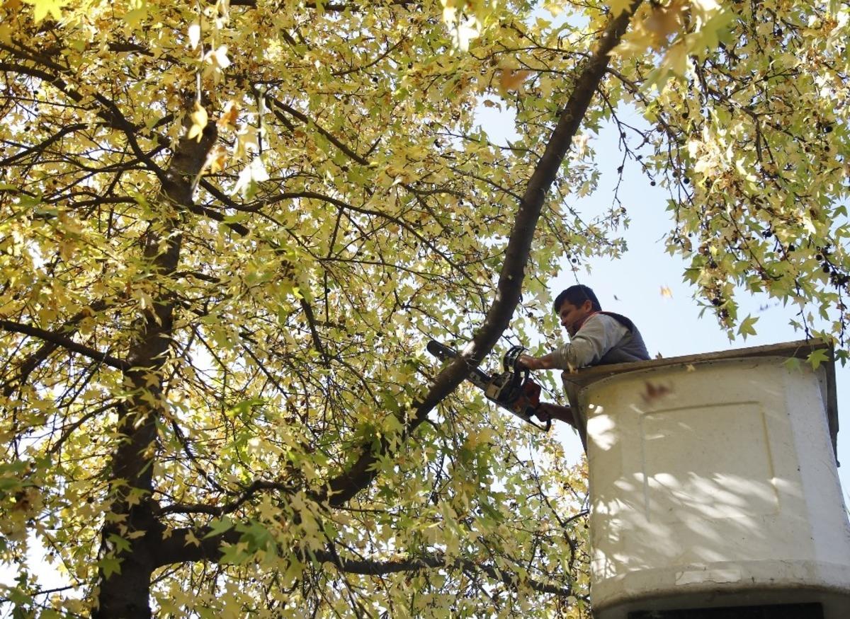 D&ouml;şemealtı&rsquo;na kış bakımı