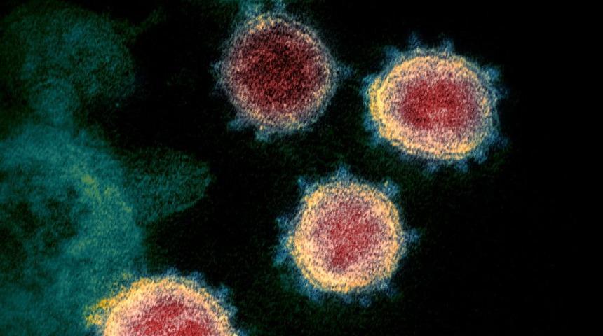 Covid 501.V2: G&uuml;ney Afrika&rsquo;da tespit edilen mutasyona uğramış koronavir&uuml;s t&uuml;r&uuml; hakkında neler biliniyor?