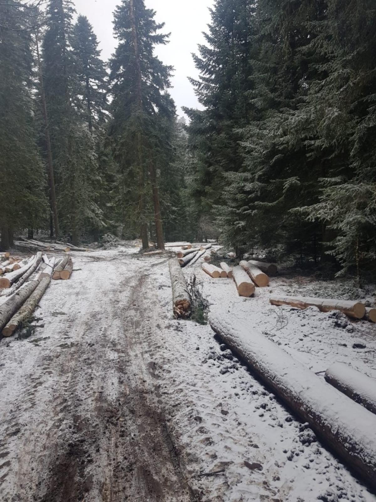 Boz&uuml;y&uuml;k&rsquo;te mevsimin ilk karı yağdı