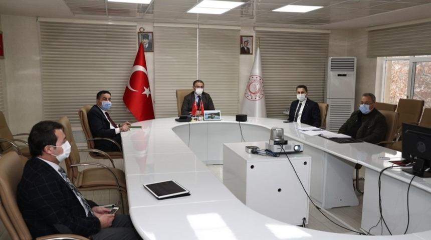 Tokat’ta sokak hayvanlarını birlik koruyacak