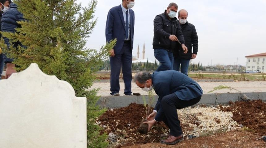 2020 Yılında vefat edenler adına ağa&ccedil; dikiliyor