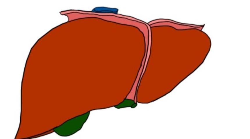 Safra kesesi ağrısı neden olur? Safra kesesinde taş olduğu nasıl anlaşılır?