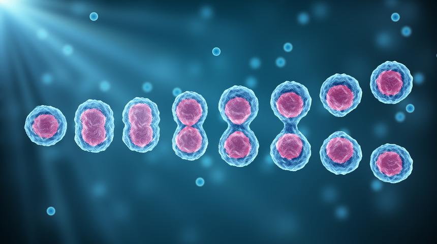 Yenilemek çok kolay: Kök hücre tedavisi nedir?