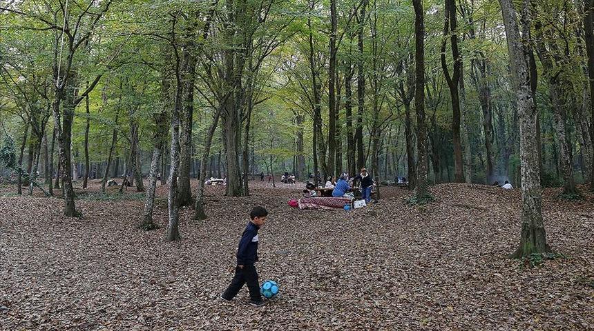 Belgrad ormanı nerede? Arabayla, İETT ile, metroyla nasıl gidilir?