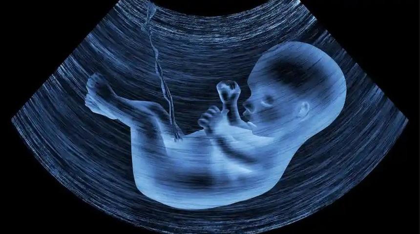 Bebeklerin plasentasında mikroplastik par&ccedil;acıklar bulundu: 'Bebekler doğmadan kirleniyor'