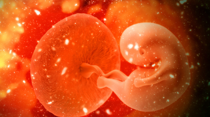 Korkutan araştırma! Plastikler artık anne karnına kadar indi, doğmamış bebeklerin...