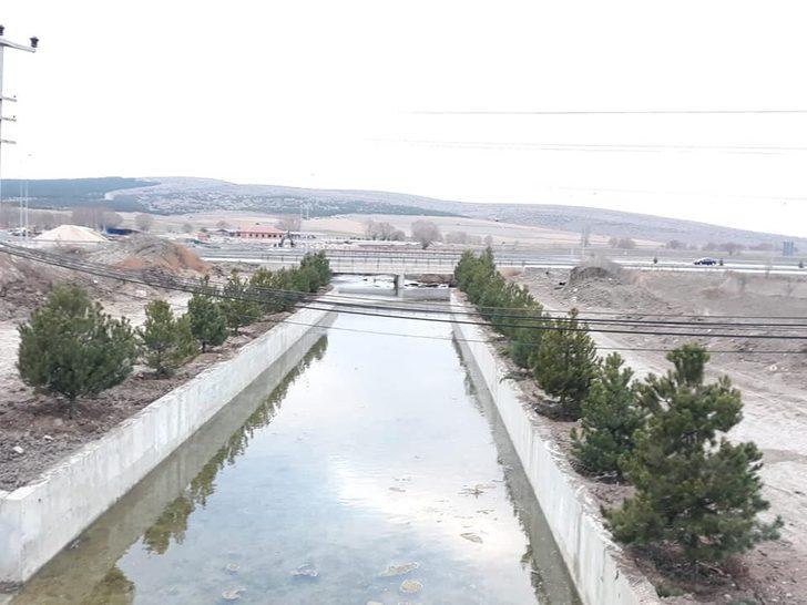 Altıntaş Avşar deresi ağaçlandırma çalışmaları G1