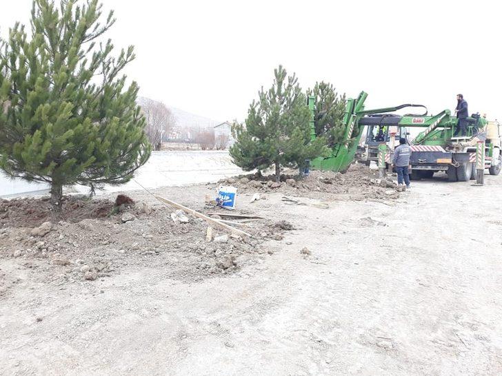 Altıntaş Avşar deresi ağaçlandırma çalışmaları G4