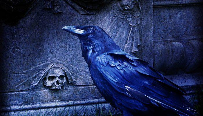 Rüyada kardeşinin öldüğünü ne anlama gelir? Rüyada erkek, kız, ikiz