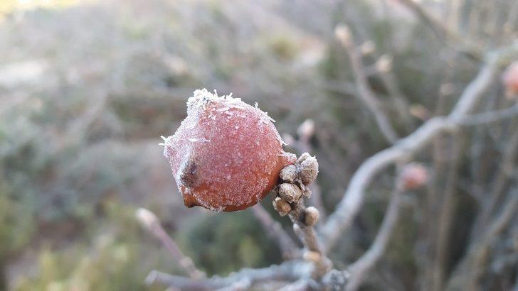 Kütahya’da kırağı güzelliği G3