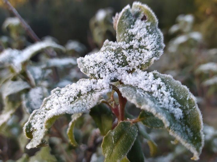 Kütahya’da kırağı güzelliği G5